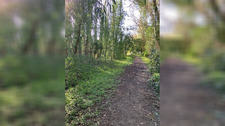 Ma-Cabane - Vente Terrain Briarres-sur-Essonne, 558 m²