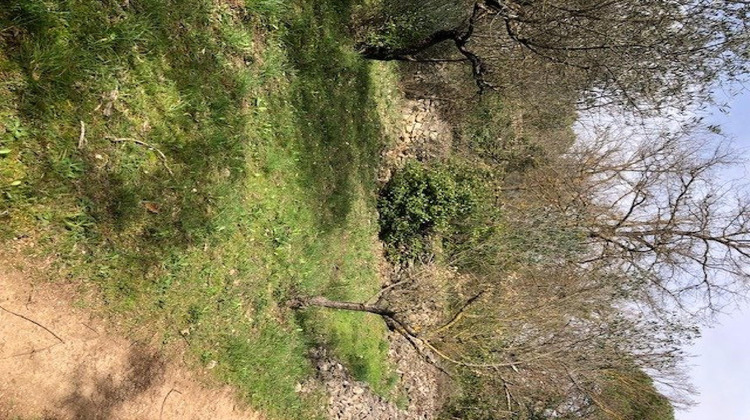 Ma-Cabane - Vente Terrain Brignoles, 4200 m²