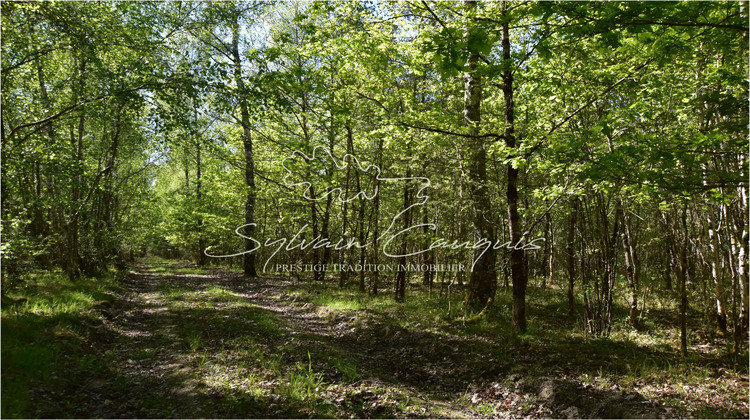 Ma-Cabane - Vente Terrain BRINON SUR SAULDRE, 1710000 m²