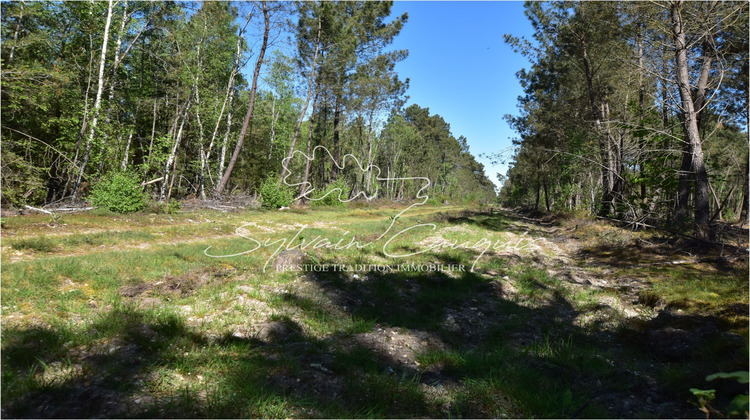 Ma-Cabane - Vente Terrain BRINON SUR SAULDRE, 1710000 m²
