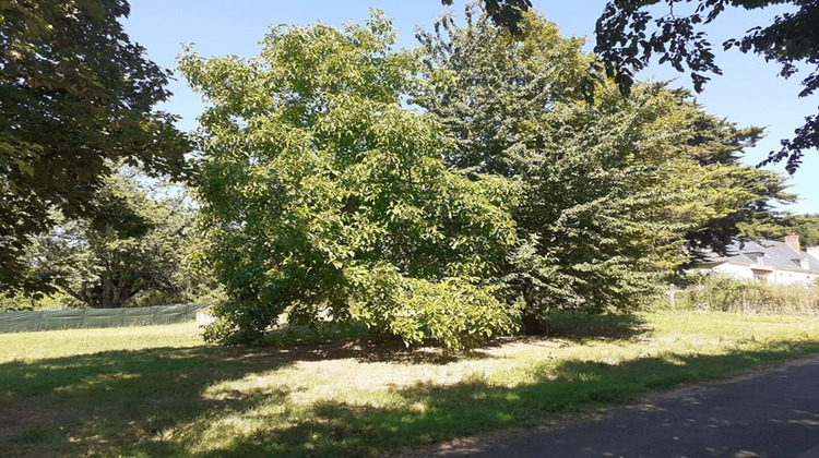 Ma-Cabane - Vente Terrain BRION, 1100 m²