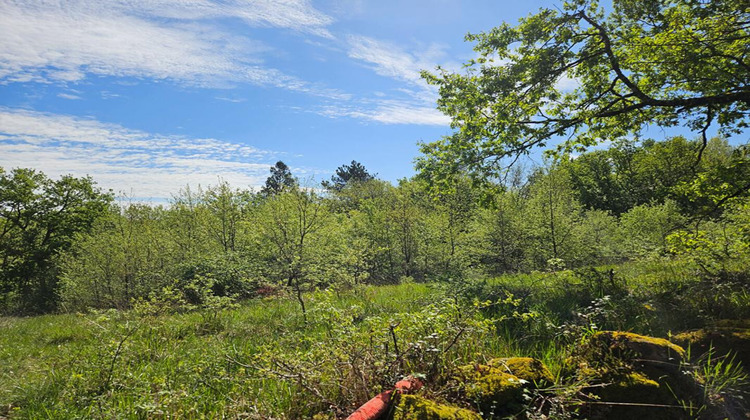 Ma-Cabane - Vente Terrain BRIVE LA GAILLARDE, 3145 m²