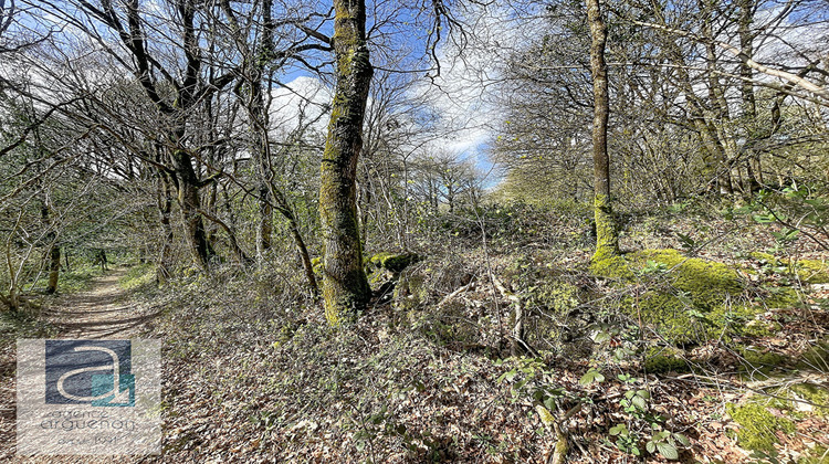 Ma-Cabane - Vente Terrain BROONS, 9363 m²