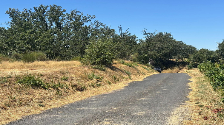Ma-Cabane - Vente Terrain Brouilla, 4000 m²