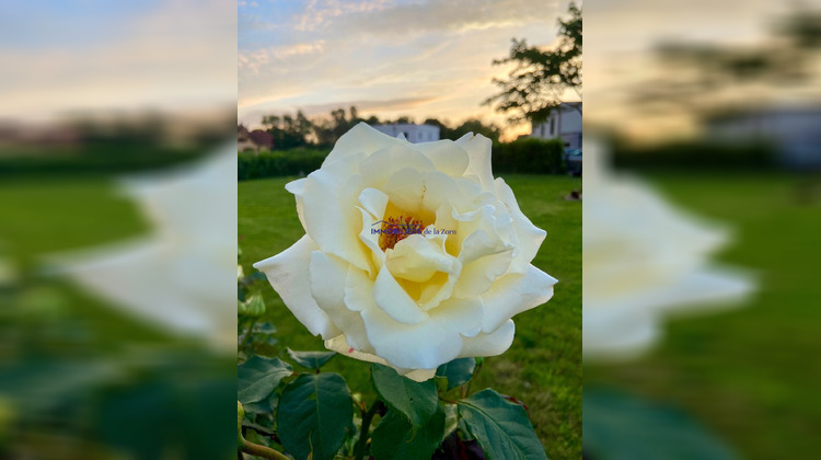 Ma-Cabane - Vente Terrain Brumath, 746 m²