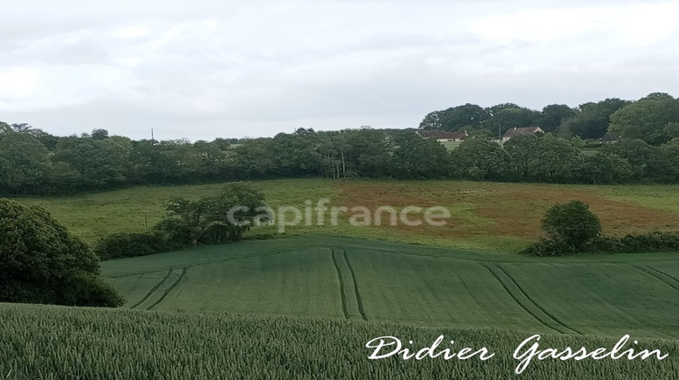 Ma-Cabane - Vente Terrain BRUNELLES, 249400 m²
