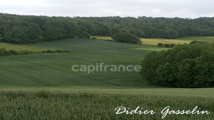 Ma-Cabane - Vente Terrain BRUNELLES, 249400 m²