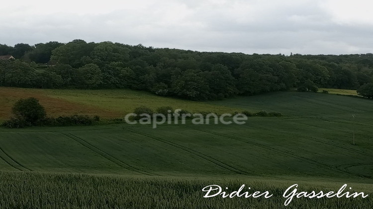 Ma-Cabane - Vente Terrain BRUNELLES, 249400 m²