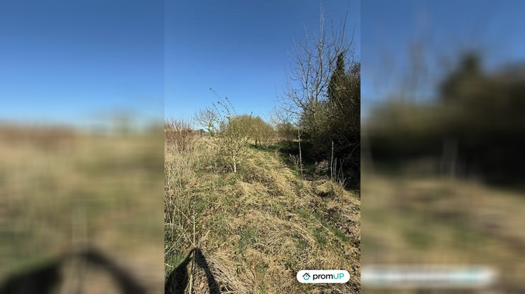 Ma-Cabane - Vente Terrain Buire-Courcelles, 7000 m²