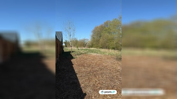 Ma-Cabane - Vente Terrain Buire-Courcelles, 7000 m²