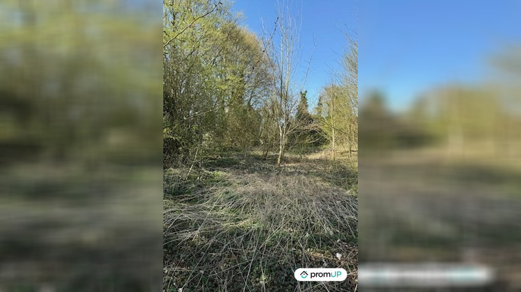 Ma-Cabane - Vente Terrain Buire-Courcelles, 7000 m²