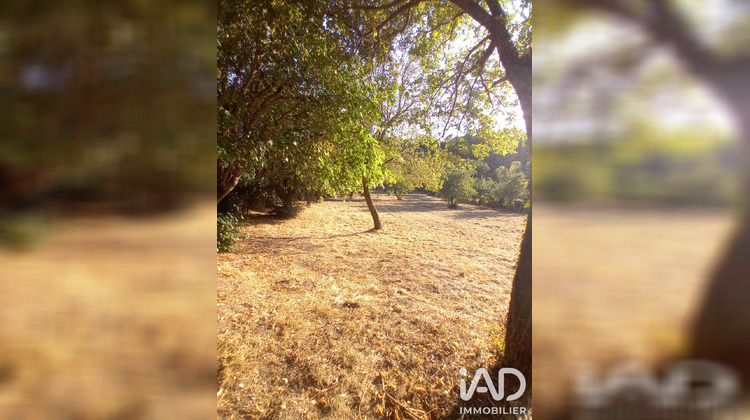 Ma-Cabane - Vente Terrain Buis-les-Baronnies, 3230 m²