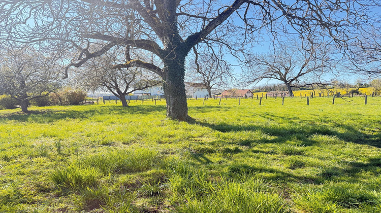 Ma-Cabane - Vente Terrain Buthiers, 890 m²