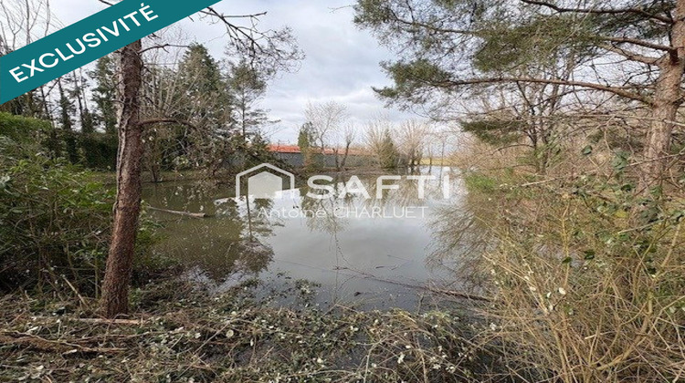 Ma-Cabane - Vente Terrain Buzancais, 4182 m²