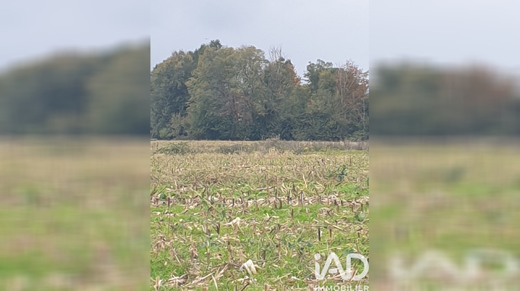 Ma-Cabane - Vente Terrain Buzet-sur-Baïse, 4648 m²