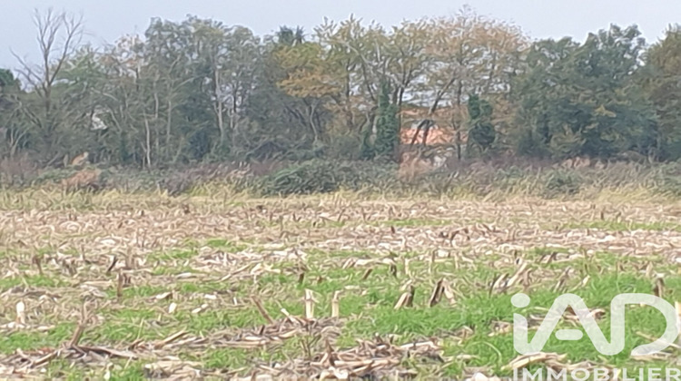 Ma-Cabane - Vente Terrain Buzet-sur-Baïse, 4648 m²