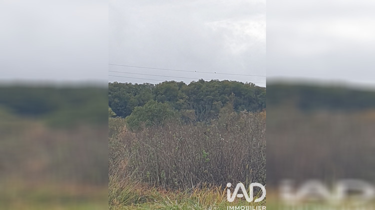 Ma-Cabane - Vente Terrain Buzet-sur-Baïse, 4648 m²