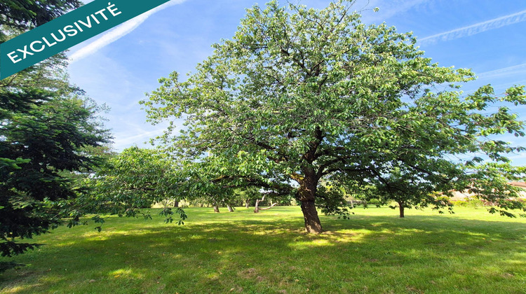 Ma-Cabane - Vente Terrain Buzet-sur-Tarn, 1287 m²