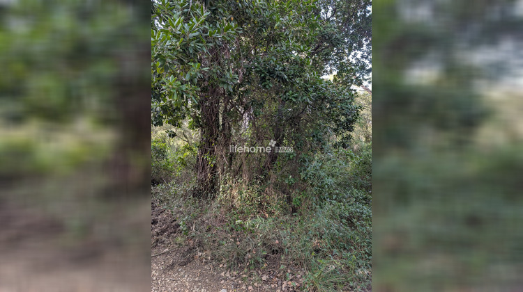 Ma-Cabane - Vente Terrain Cabasse, 3920 m²