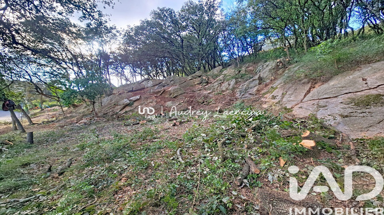 Ma-Cabane - Vente Terrain Cabrerolles, 1252 m²