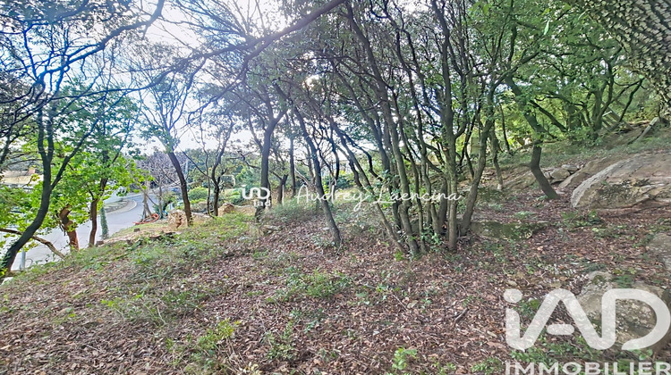 Ma-Cabane - Vente Terrain Cabrerolles, 1252 m²