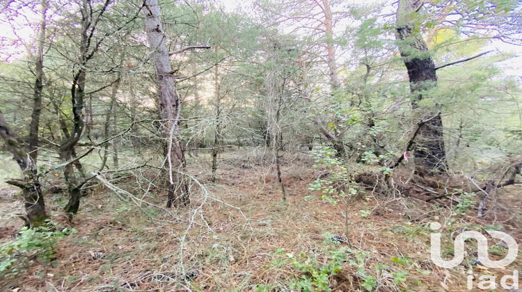 Ma-Cabane - Vente Terrain Cabris, 1640 m²