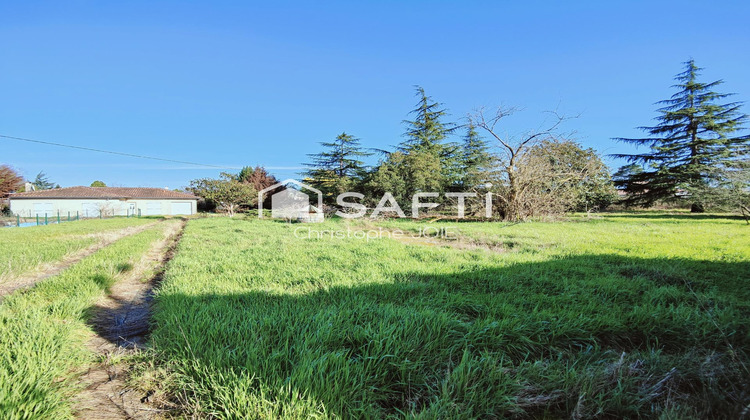 Ma-Cabane - Vente Terrain Cadaujac, 4401 m²