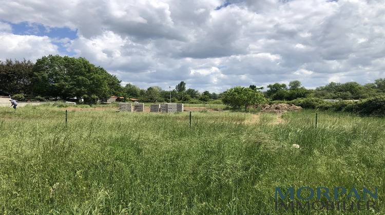 Ma-Cabane - Vente Terrain Cadaujac, 817 m²