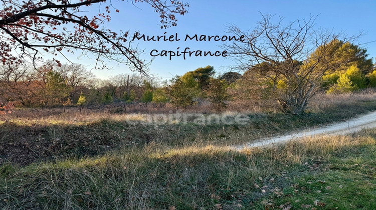 Ma-Cabane - Vente Terrain CADENET, 5800 m²