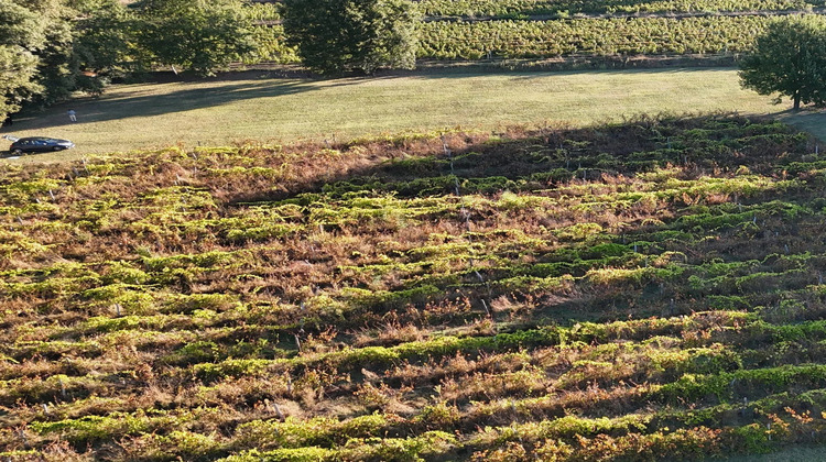 Ma-Cabane - Vente Terrain Caillac, 7000 m²