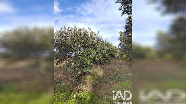 Ma-Cabane - Vente Terrain Cairanne, 7825 m²