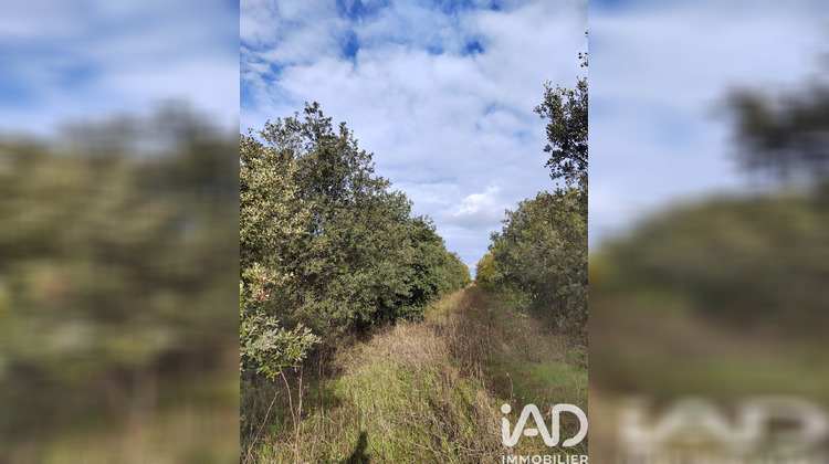 Ma-Cabane - Vente Terrain Cairanne, 7825 m²