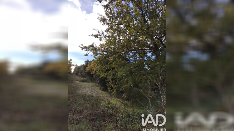 Ma-Cabane - Vente Terrain Cairanne, 7825 m²