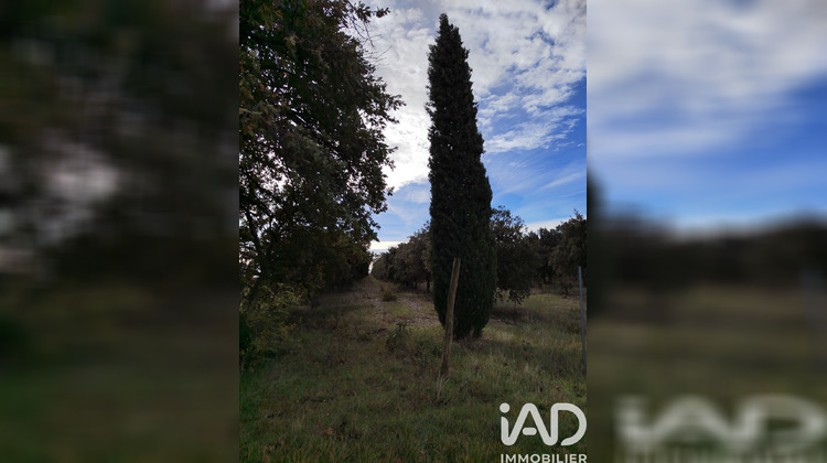 Ma-Cabane - Vente Terrain Cairanne, 7825 m²