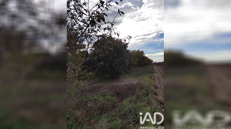 Ma-Cabane - Vente Terrain Cairanne, 7825 m²