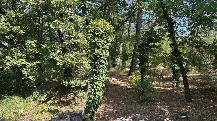 Ma-Cabane - Vente Terrain CALLIAN, 1800 m²