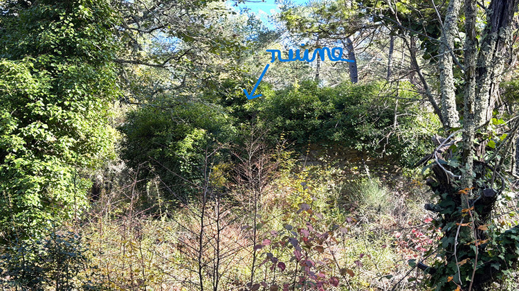 Ma-Cabane - Vente Terrain CALLIAN, 4035 m²