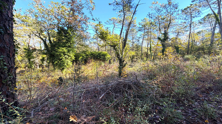 Ma-Cabane - Vente Terrain CALLIAN, 4035 m²