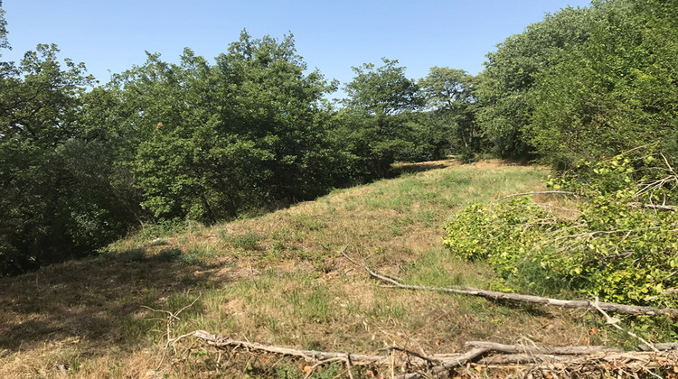 Ma-Cabane - Vente Terrain CALLIAN, 4810 m²