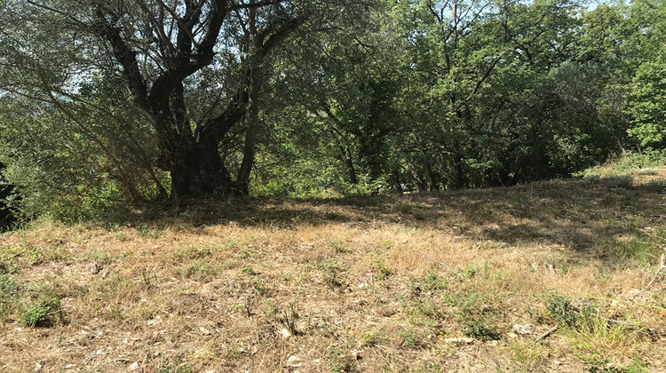 Ma-Cabane - Vente Terrain CALLIAN, 4810 m²