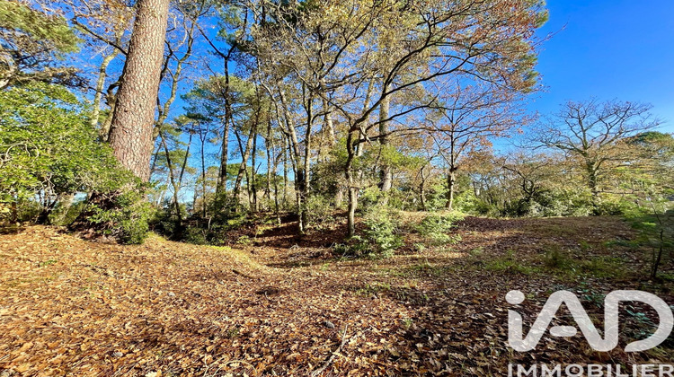 Ma-Cabane - Vente Terrain Capbreton, 998 m²