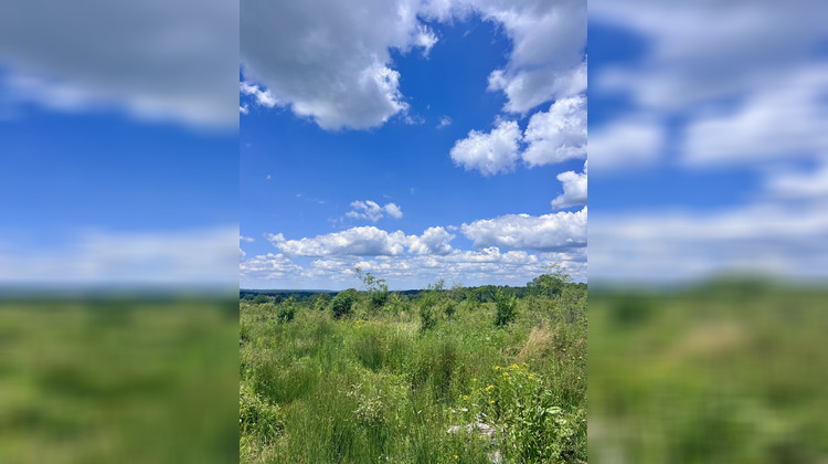 Ma-Cabane - Vente Terrain Capdrot, 7311 m²