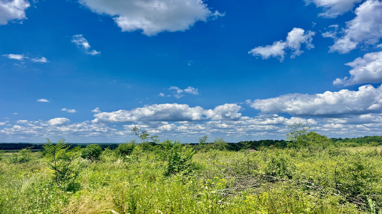 Ma-Cabane - Vente Terrain Capdrot, 7311 m²