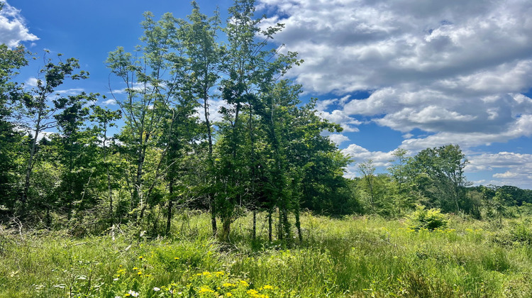 Ma-Cabane - Vente Terrain Capdrot, 7311 m²