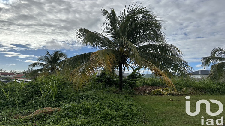 Ma-Cabane - Vente Terrain Capesterre-Belle-Eau, 500 m²