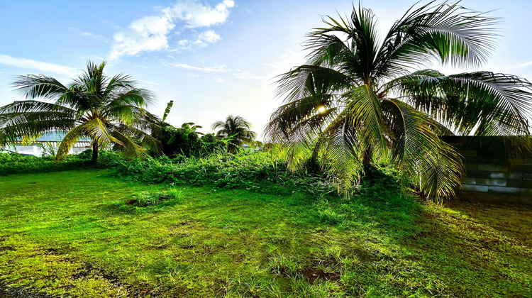 Ma-Cabane - Vente Terrain CAPESTERRE-BELLE-EAU, 500 m²
