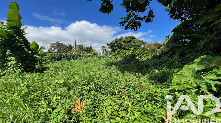 Ma-Cabane - Vente Terrain Capesterre-Belle-Eau, 1015 m²