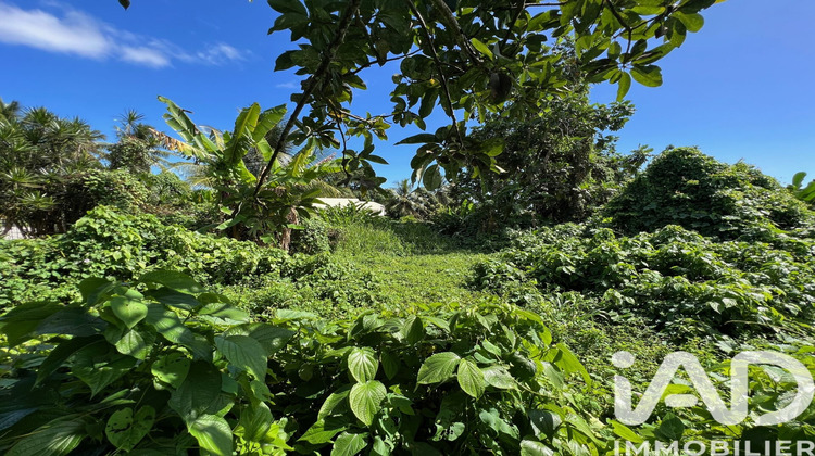 Ma-Cabane - Vente Terrain Capesterre-Belle-Eau, 1240 m²