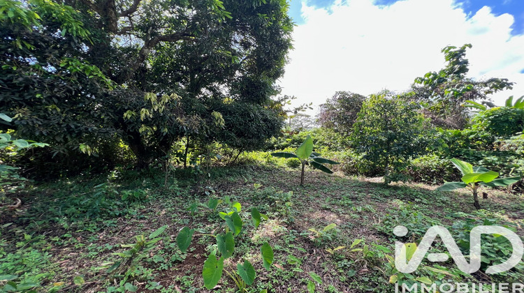 Ma-Cabane - Vente Terrain Capesterre-Belle-Eau, 854 m²