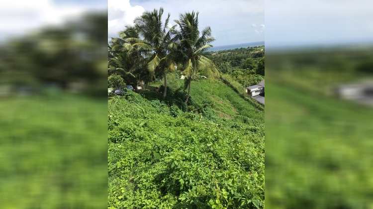 Ma-Cabane - Vente Terrain CAPESTERRE BELLE EAU, 688 m²